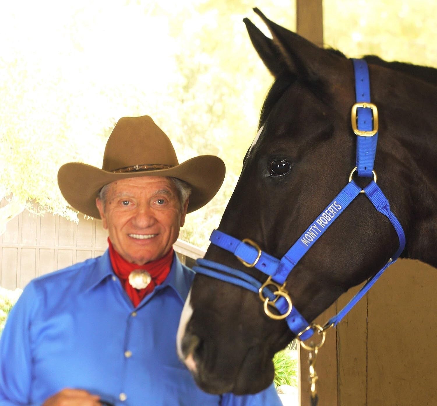 Durable Adjustable Dually Headcollar for Effective Horse Training - Large, Blue