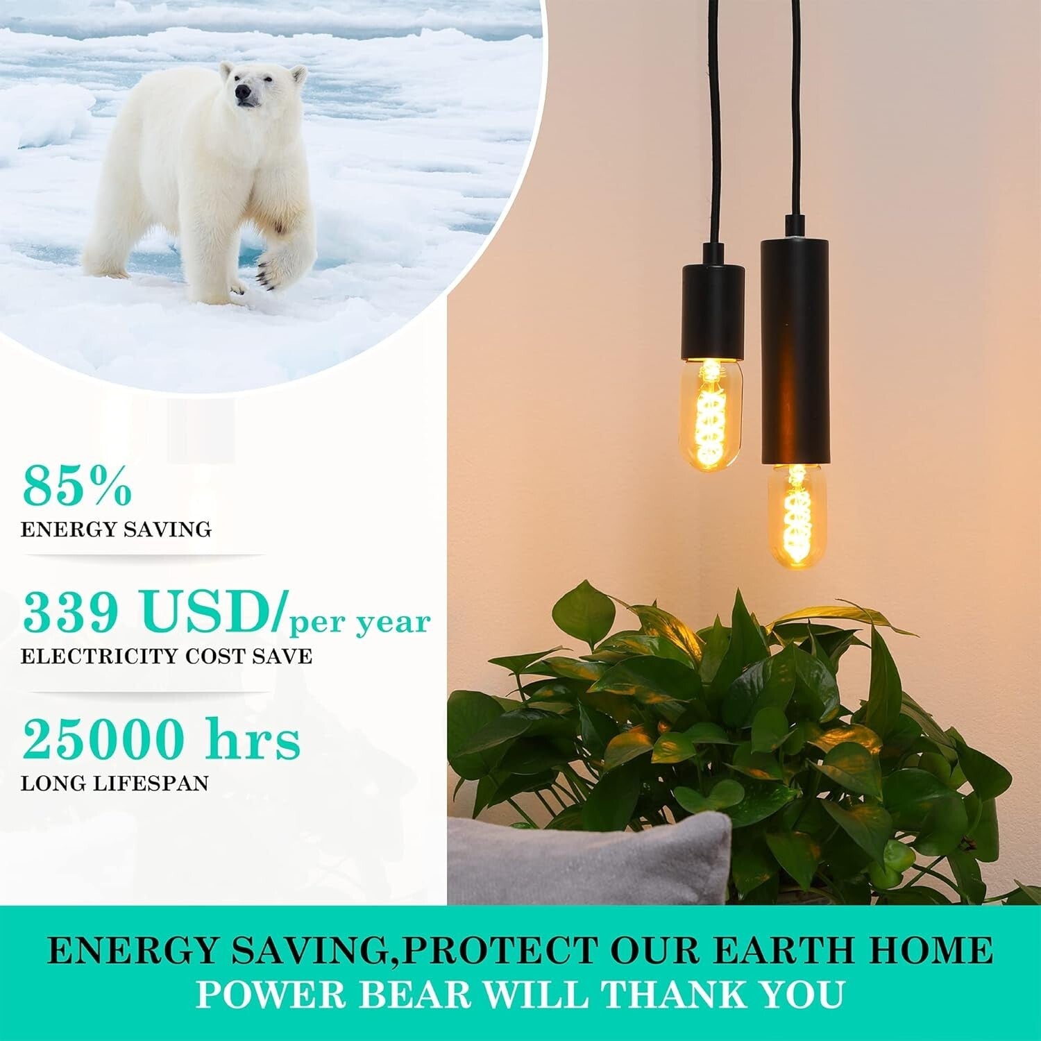 E26 Base Vintage LED Edison Bulbs - 8 Pack, Energy Efficient 2200K Warm Light