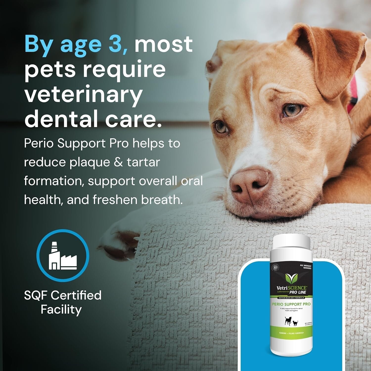 Perio Support Pro - Natural Dental Care Powder for Medium & Large Dogs and Cats