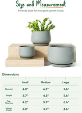 Load image into Gallery viewer, Reactive Glaze Ceramic Planters - 3-Piece Set with Drainage for Succulents