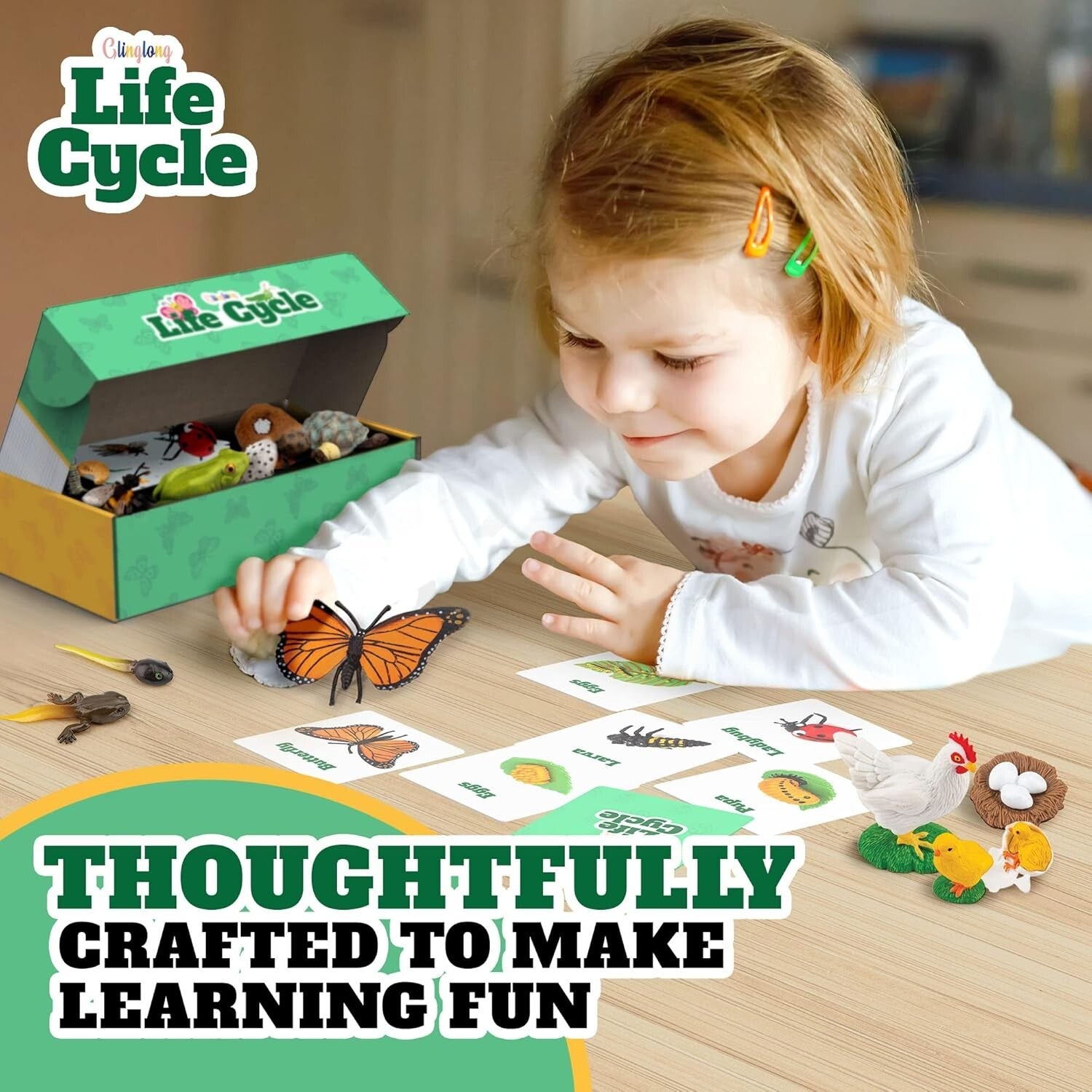 Engaging Montessori Animal Life Cycle Kit – 3D Matching Game for Young Learners