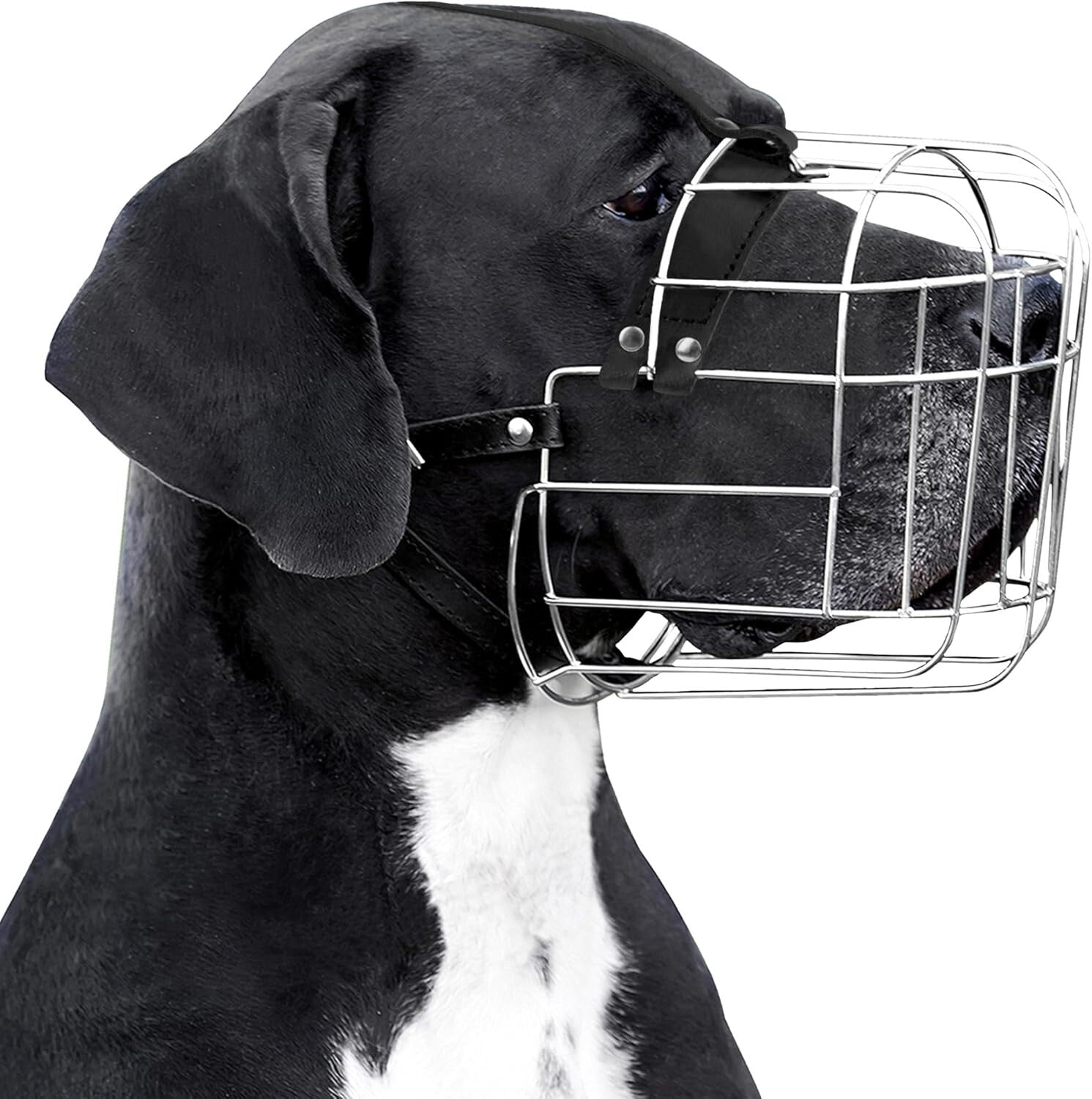 Durable Stainless Steel Dog Muzzle for Great Danes - Comfortable & Humane