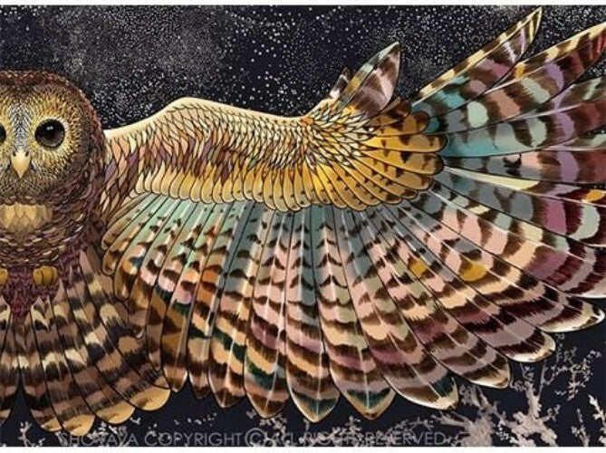 Delicate Night Owl Printed Scarf - 100% Cotton with Artful Woodland Design