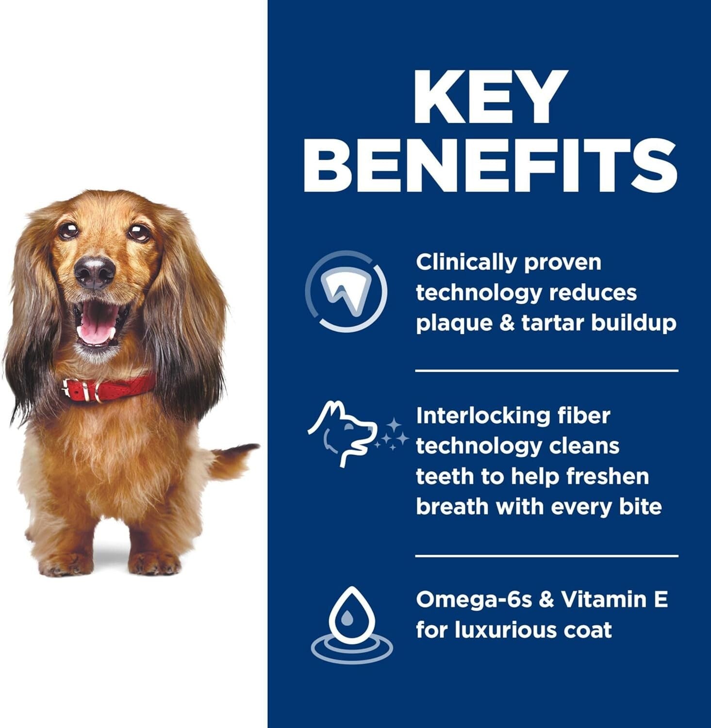 Premium Adult Dog Food with Chicken, Rice & Barley – 28.5 lb for Dental Health