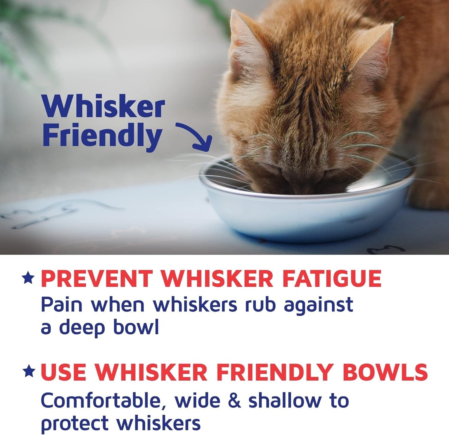 Whisker Friendly Stainless Steel Cat Bowls - 2 Durable Dishwasher Safe Dishes