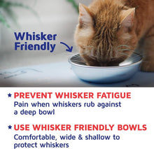 Load image into Gallery viewer, Whisker Friendly Stainless Steel Cat Bowls - 2 Durable Dishwasher Safe Dishes