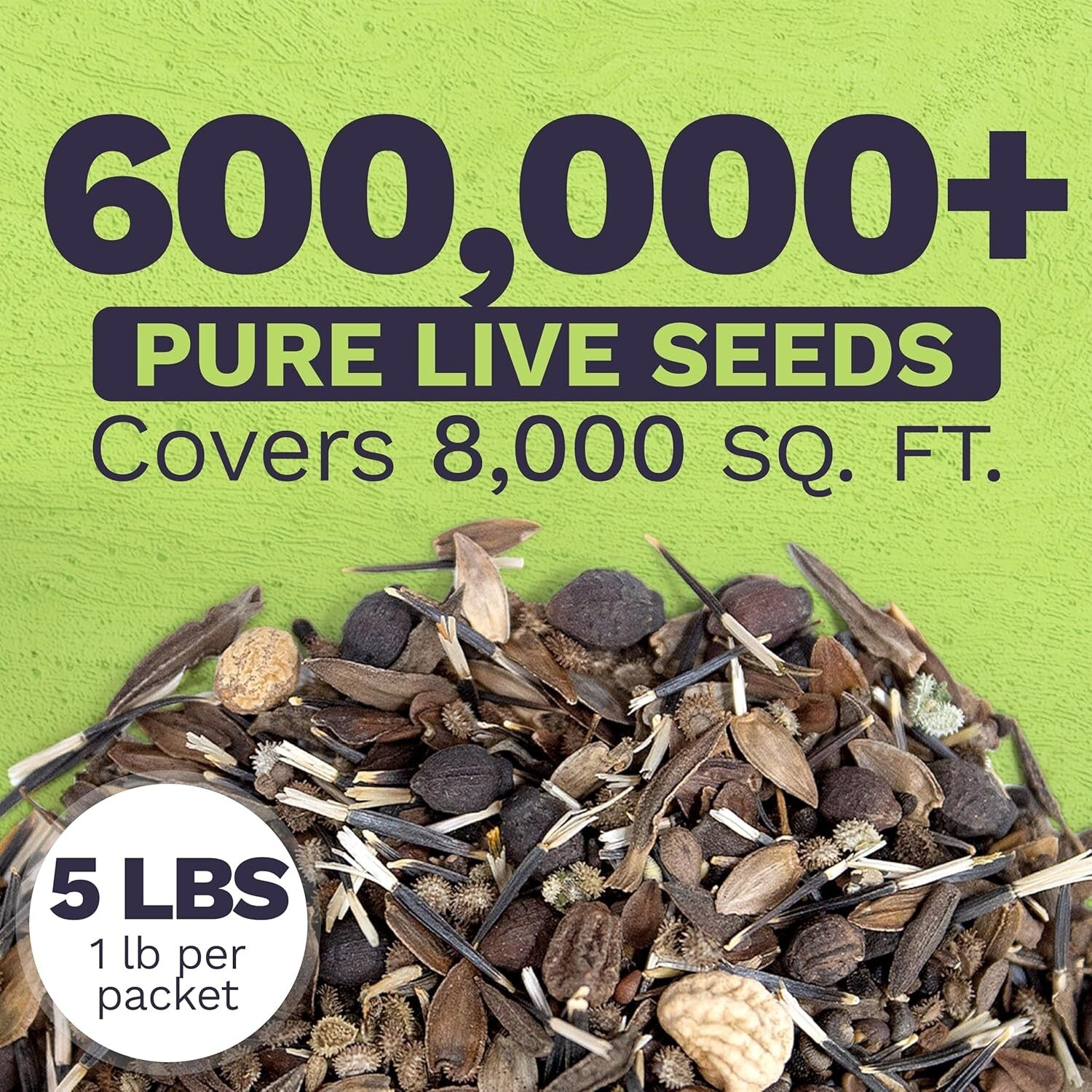 Bulk Wildflower Seed Mix for Butterflies & Hummingbirds - 5 Pounds Fresh Seeds