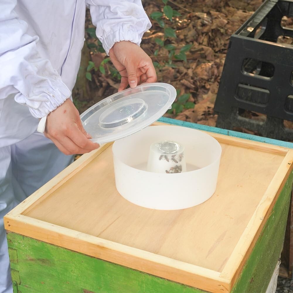 Modern Design 4-Piece Bee Feeder Set - 3.1L, Ideal for Efficient Beekeeping