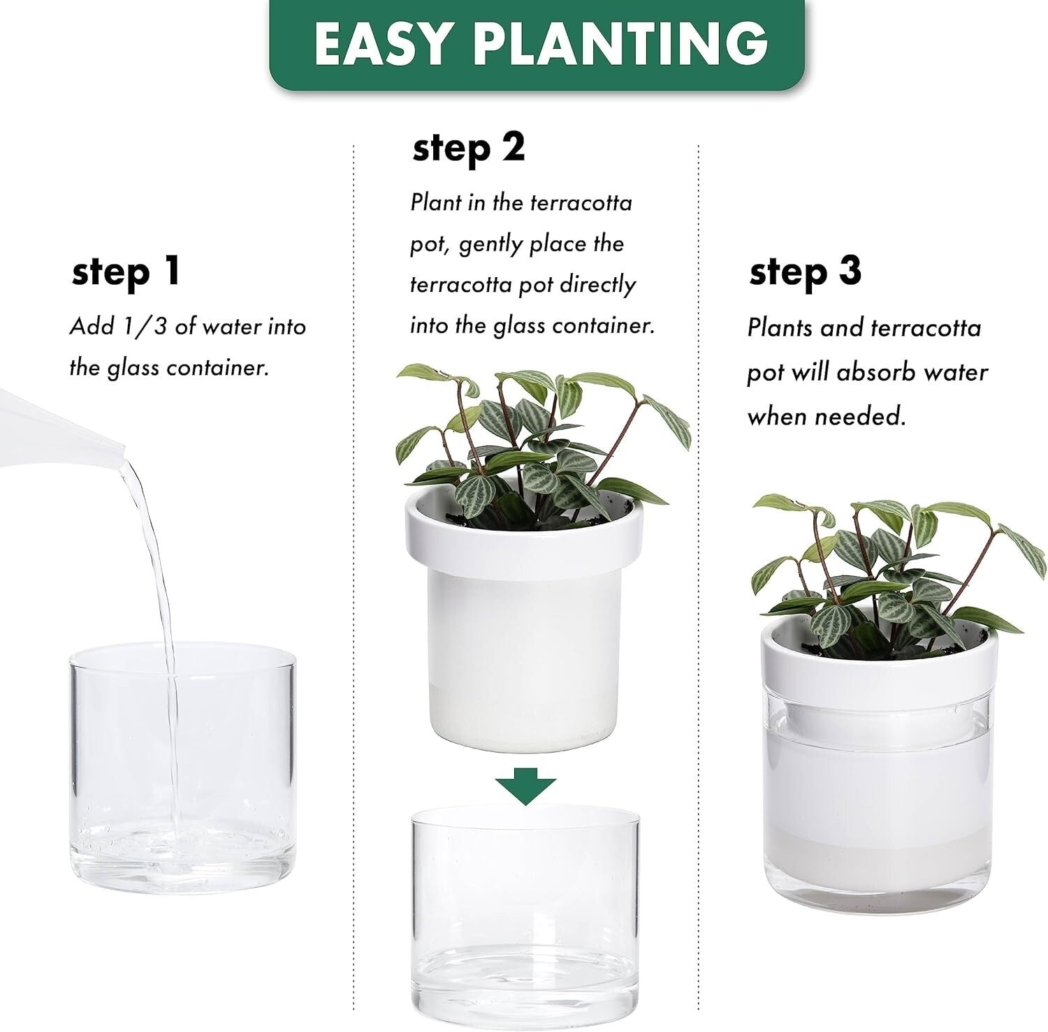 Elegant Cylindrical Self-Watering Planters: Terracotta & Glass - Set of Four