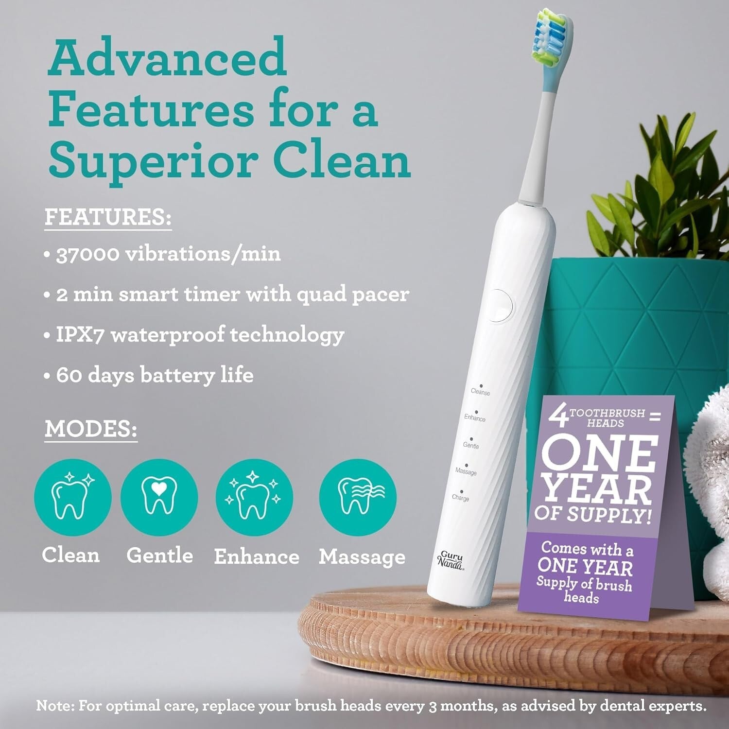 Lion & Lamb Kit 2.0: Electric Toothbrush & Water Flosser Combo for Superior Care