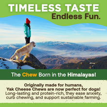 Load image into Gallery viewer, EcoKind Premium Gold Yak Cheese Chews for Large Breeds - 12 All-Natural Treats