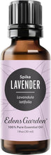 Load image into Gallery viewer, Premium Grade Lavender Spike Oil - 1 fl oz for Aromatherapy and Home Wellness