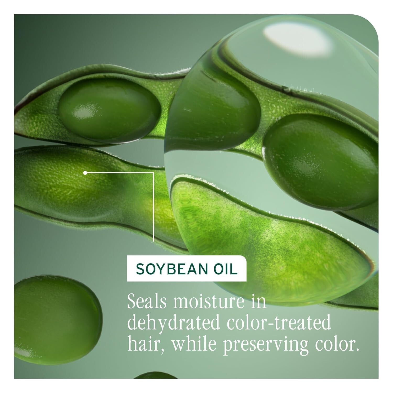 Vegan Color Lock Shampoo for Hydration & Strength - Paraben-Free & Eco-Friendly