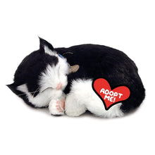 Load image into Gallery viewer, 10.75 Inch Lifelike Stuffed Black &amp; White Kitten - Ideal for Pet Lovers and Kids