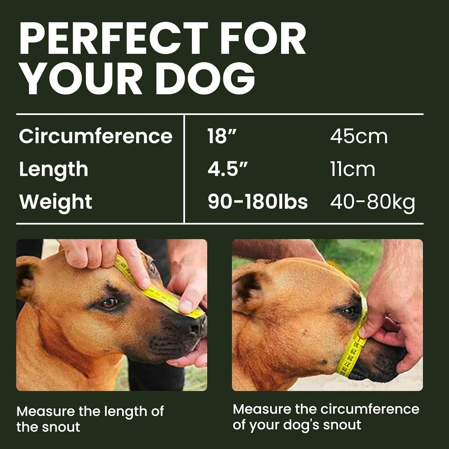 Durable Stainless Steel Dog Muzzle for Great Danes - Comfortable & Humane