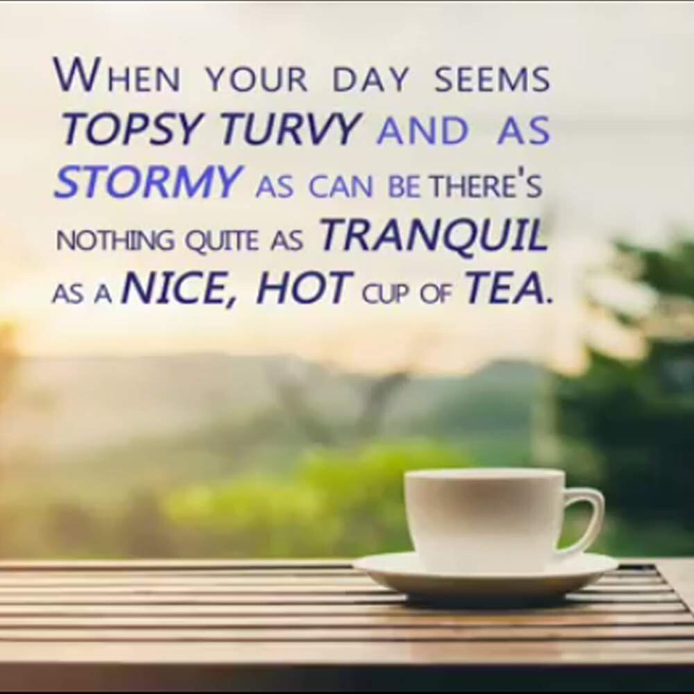 Rainforest Alliance Certified Decaf Green Tea, 432 Count Tea Bags - Eco-Friendly