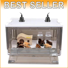 Load image into Gallery viewer, Indoor Chick Brooder Box - 20-30 Chicks with Temperature Control &amp; Ventilation