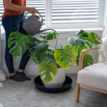 Load image into Gallery viewer, Durable 18" Plant Drip Trays - Extra-Deep Saucers for Indoor Pots and Bird Baths
