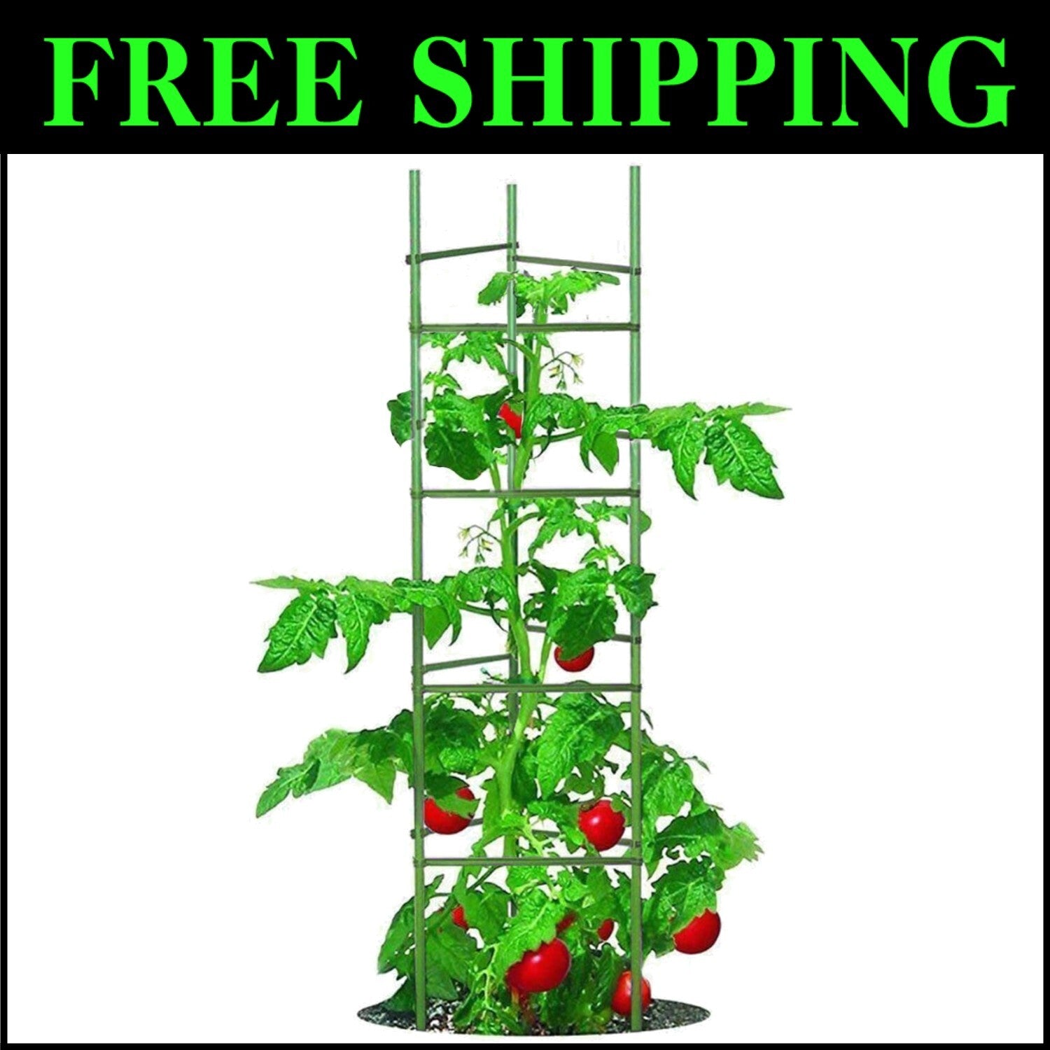 Metallic Green 5ft Tomato Cage Set - 6 Sturdy Stakes with Clips for Garden Use