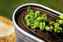 Load image into Gallery viewer, Advanced Drip Irrigation Raised Bed Watering Kit with Pressure Regulator &amp; Timer