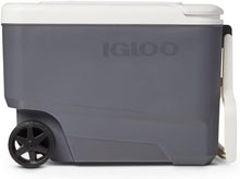 Load image into Gallery viewer, Portable Electric Cooler with Efficient Thermoelectric Technology - 35Qt