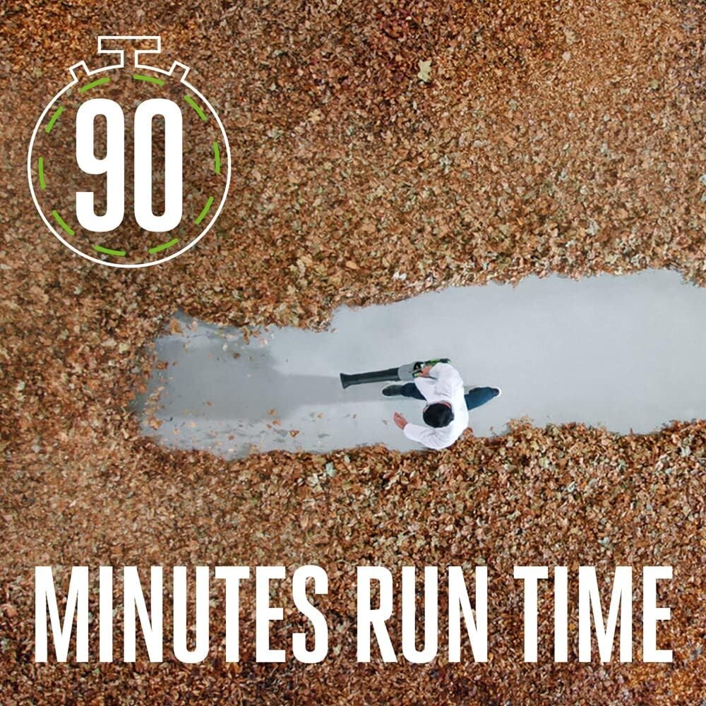 650 CFM Variable-Speed Cordless Leaf Blower with Battery and Charger Included