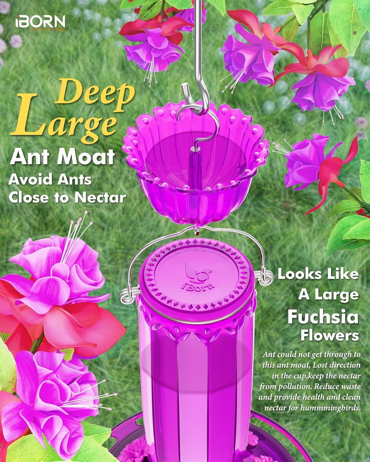 Attractive Hummingbird Feeder with Ant Moat - Durable Glass, Gift Box Included