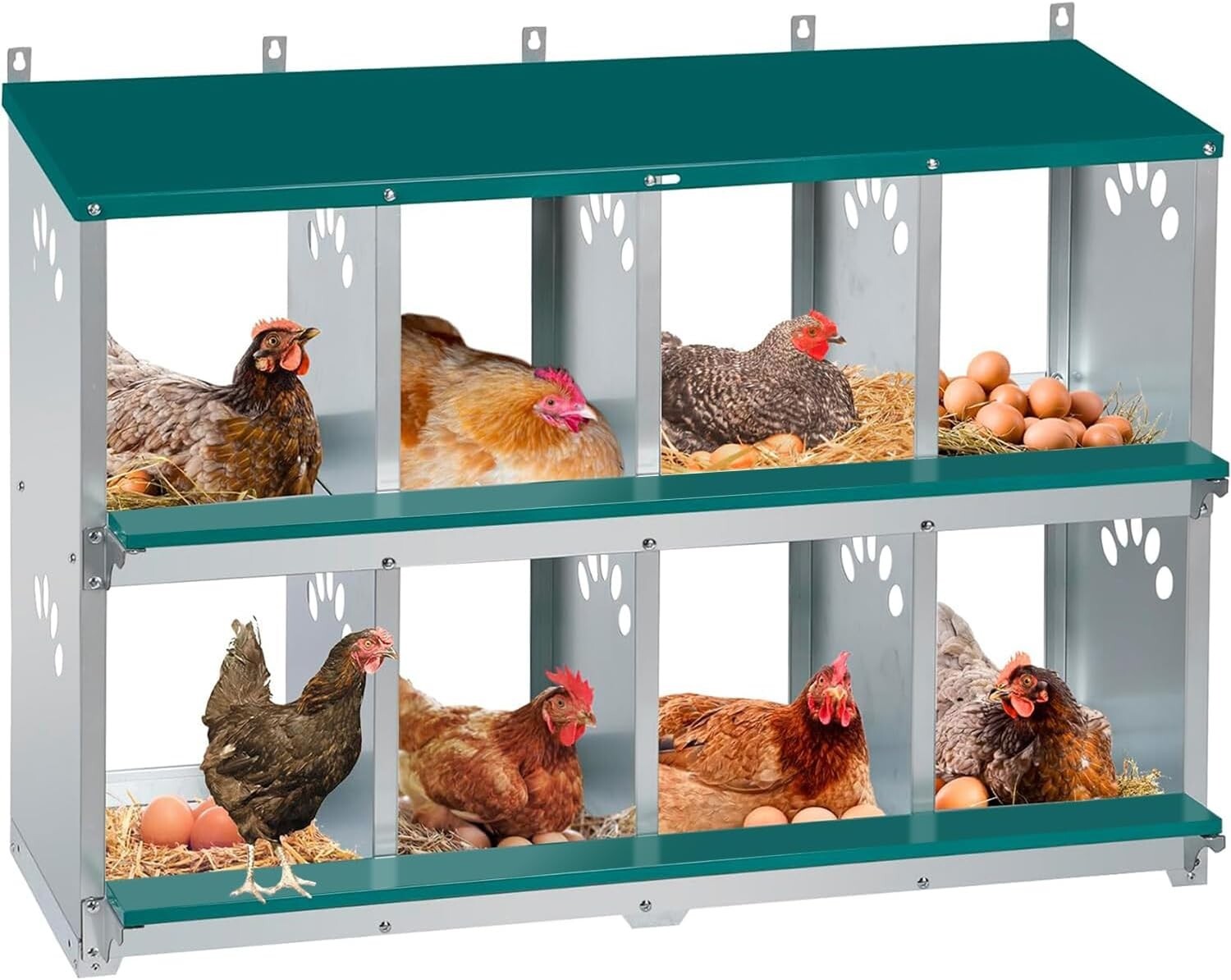 Spacious 8 Compartment Chicken Nesting Box - Ideal for Comfortable Egg Laying