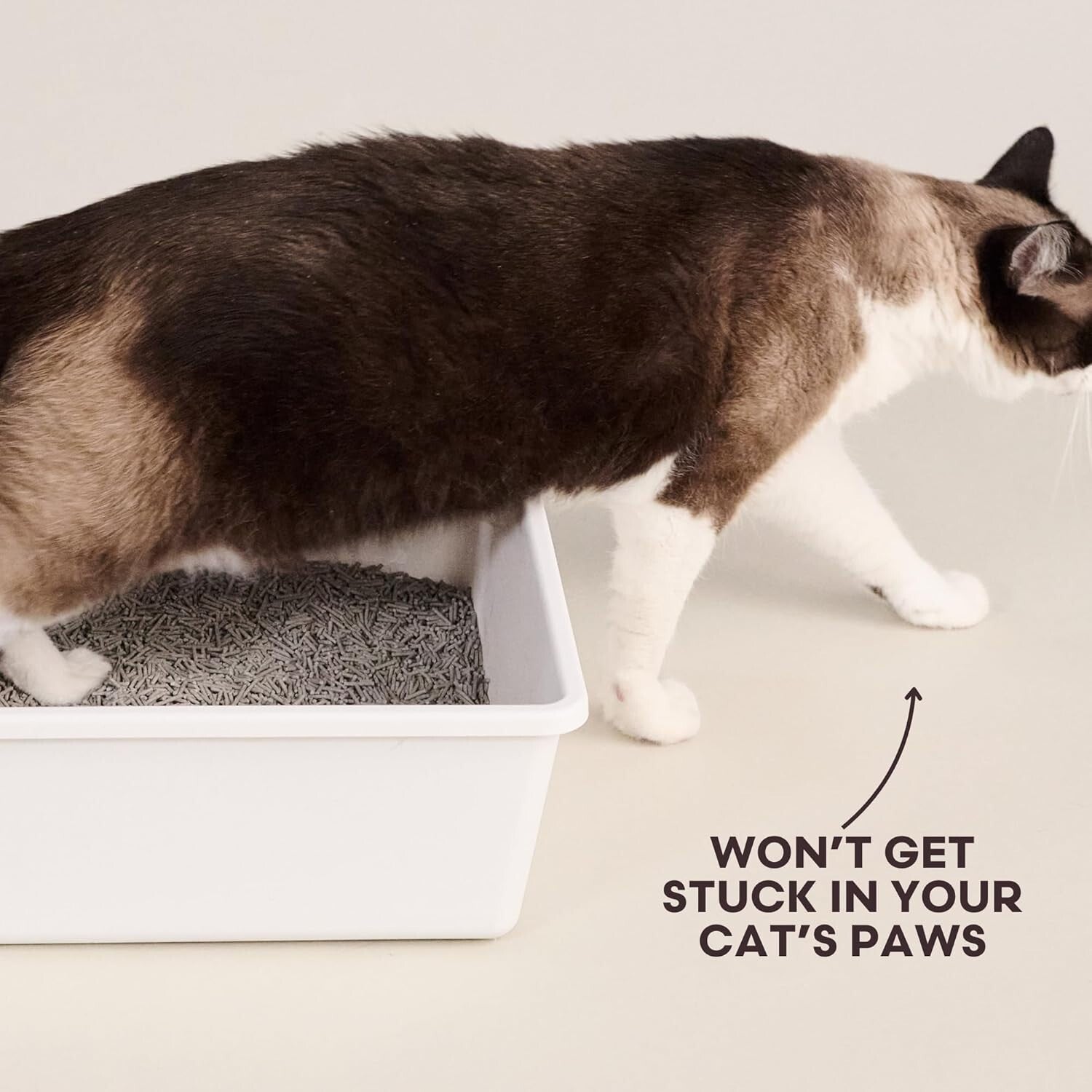 Really Great Cat Litter - 2 Bags, 9.25 lbs Each, Eco-Friendly, Dust-Free Formula