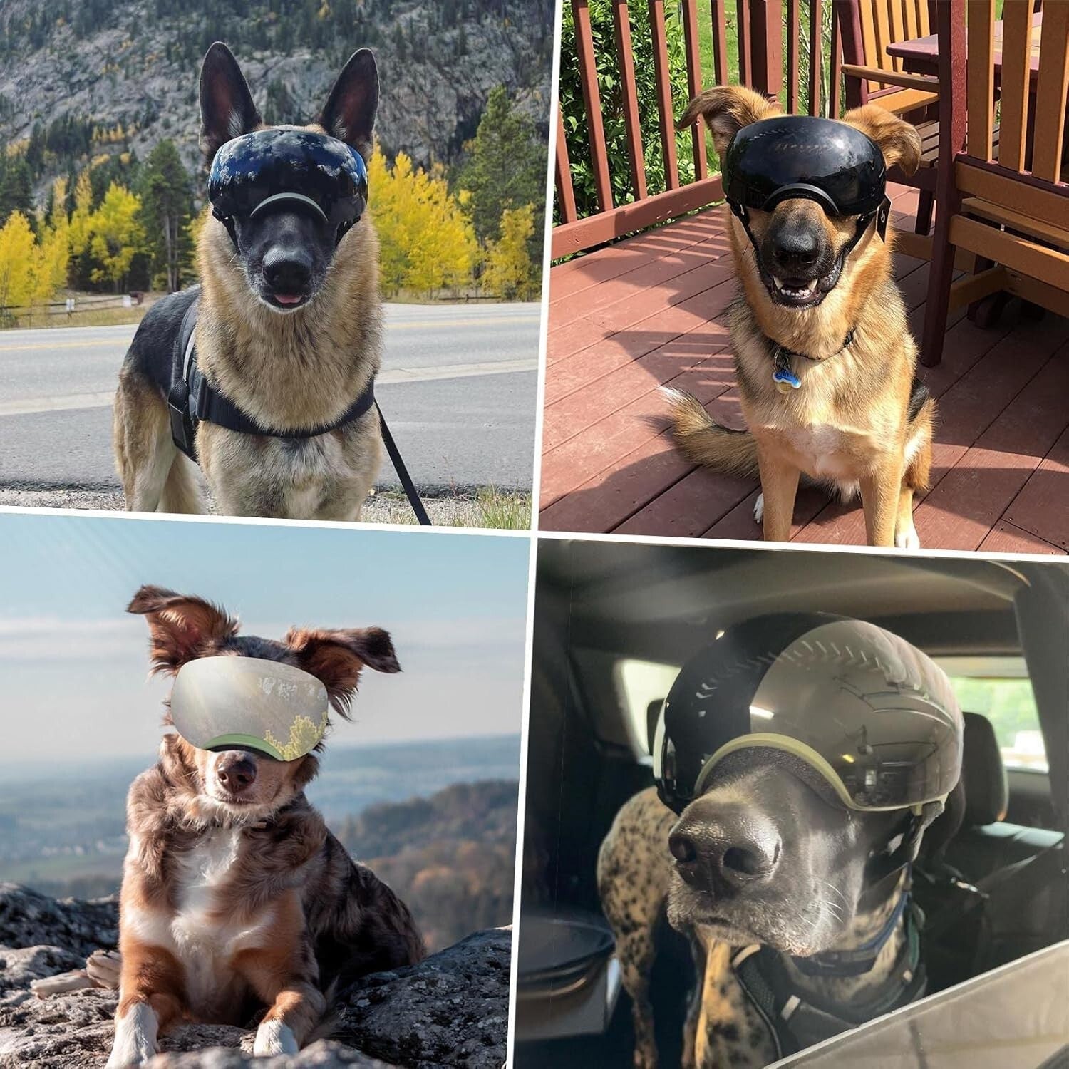 Premium UV Protection Dog Sunglasses for Medium-Large Breeds - Adjustable, Green