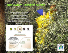Load image into Gallery viewer, Premium Single Estate Extra Virgin Olive Oil - Unfiltered &amp; High in Polyphenols