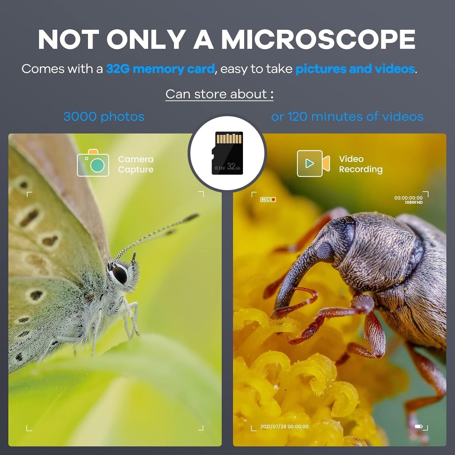 Lightweight USB Digital Microscope with 200x Magnification - Ideal for Beginners