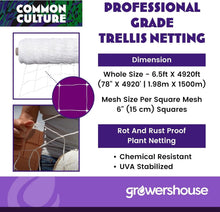 Load image into Gallery viewer, Economical Trellis Netting Roll, 6" Mesh - 6.5ft x 4920ft for Efficient Growth