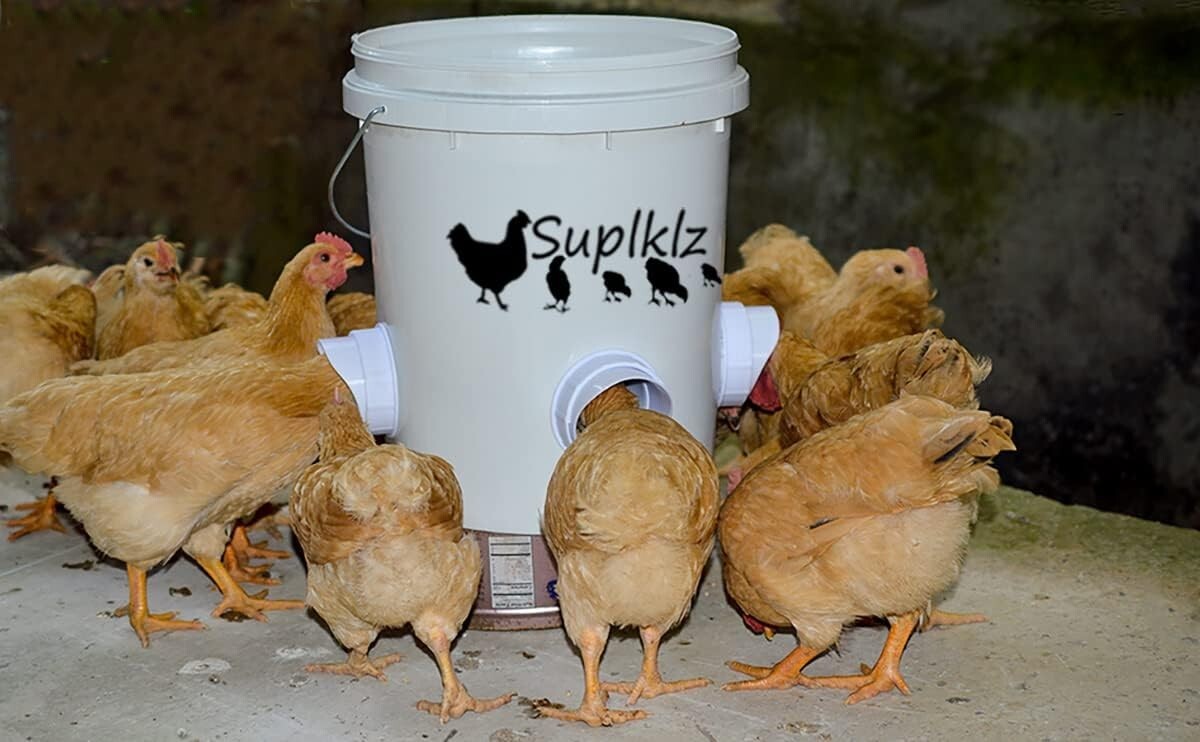 Rainproof DIY Chicken Feeder Ports - Gravity Feed Kit with 8 Ports for Buckets