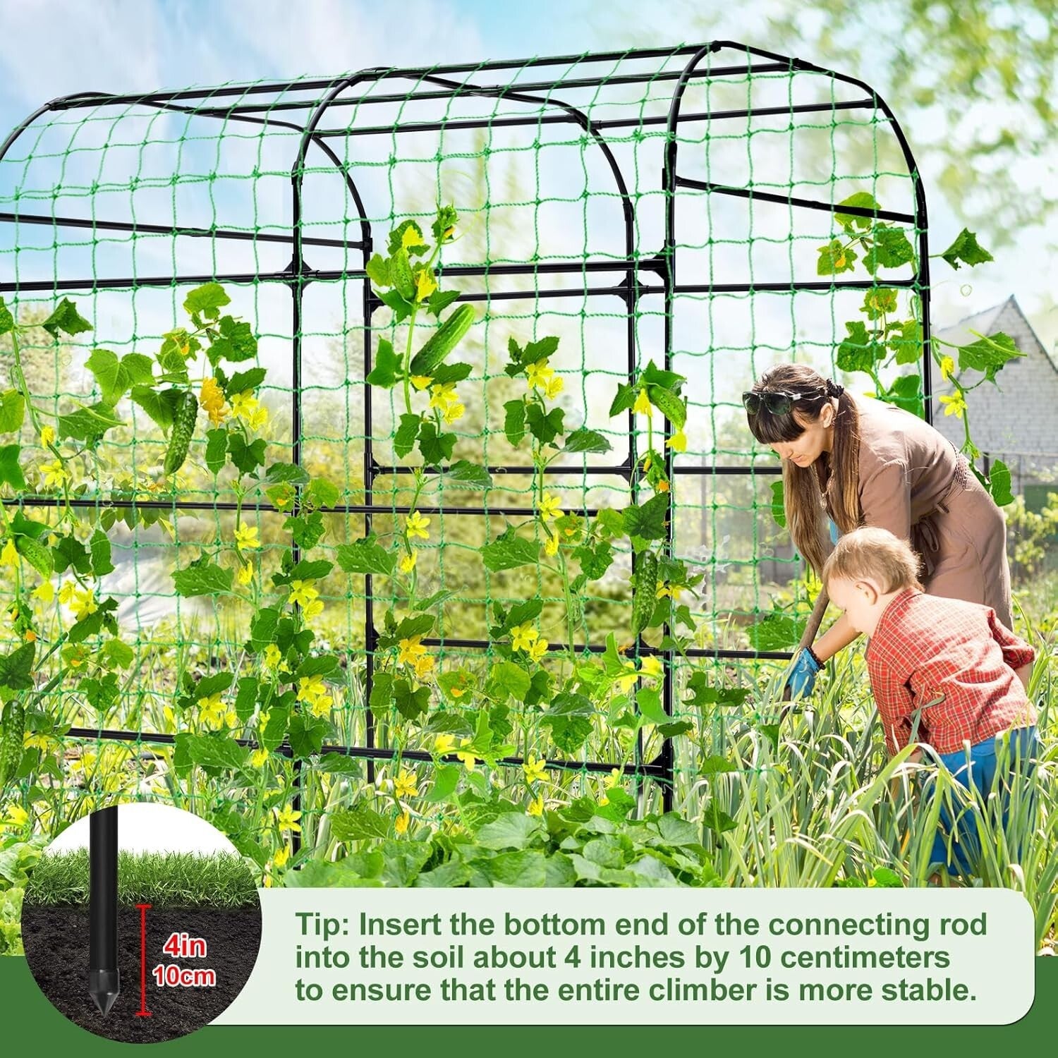 Durable Metal Arbor Trellis with Netting for Vertical Gardening & Plant Support