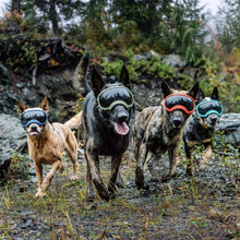 Load image into Gallery viewer, V2 X-Large Dog Goggles in Black - Protective Eyewear for Active Pups