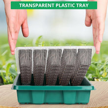 Load image into Gallery viewer, Premium 80 Cells Seedling Starter Trays with Brightness Control &amp; Drainage Holes