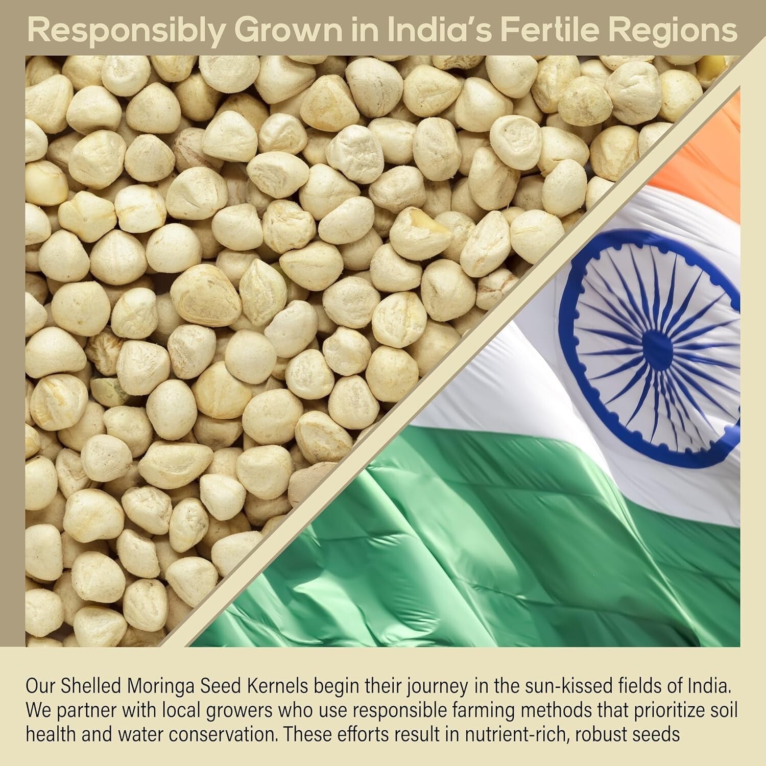 Clean Moringa Seeds - 2 lbs. Wide Mouth Jar - Boosts Energy & Supports Wellness