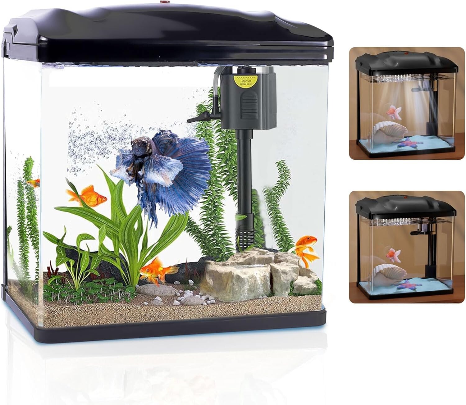 Elegant 4 Gallon Betta Fish Tank with Filter & LED Light - Starter Kit