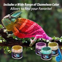 Load image into Gallery viewer, All-In-One Chameleon Mica Powder Set - 28 Stunning Colors for Multipurpose Use