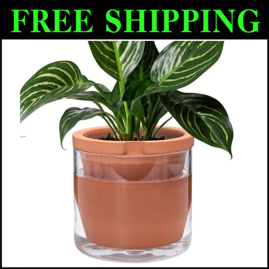 8 Inch Self-Watering Terracotta Planter with Glass Reservoir - Modern Elegance