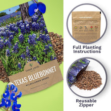 Load image into Gallery viewer, Bulk 1/4 Pound Bluebonnet Seeds - Over 4000 Fresh Wildflowers for Texas Gardens