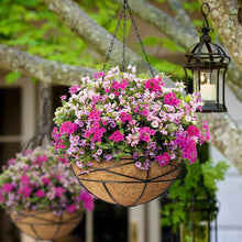 Load image into Gallery viewer, Elegant 4 Pack 14 Inch Hanging Flower Baskets with Coco Liner for Outdoor Plants