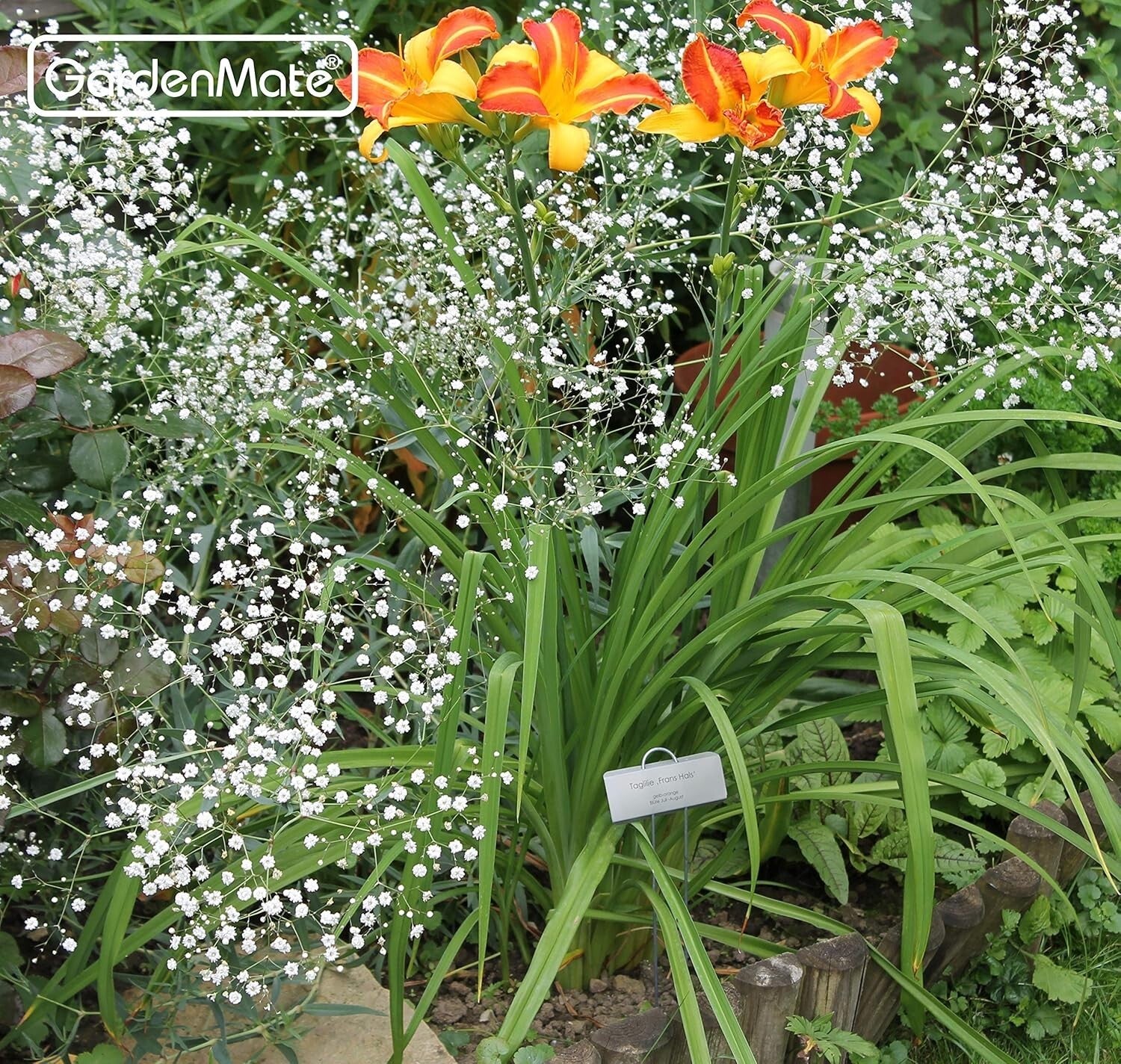 Weatherproof 50-Pack Zinc Plant Labels - Durable 11.5" Metal Garden Markers