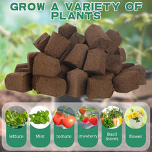 Load image into Gallery viewer, Rectangular Hydroponic Seed Starter Pods - 200 Peat Sponges for Optimal Growth