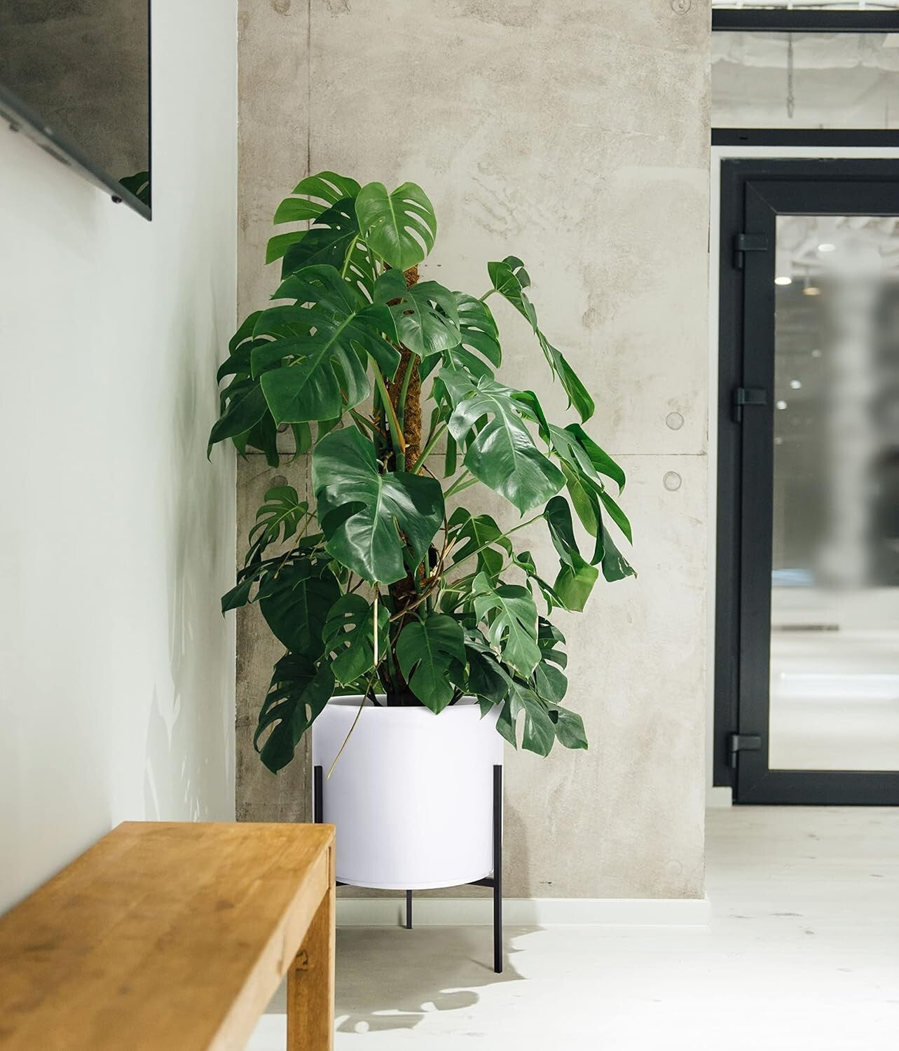 Stylish 16 Inch White Cylinder Plant Pot with Durable Metal Stand—Indoor/Outdoor