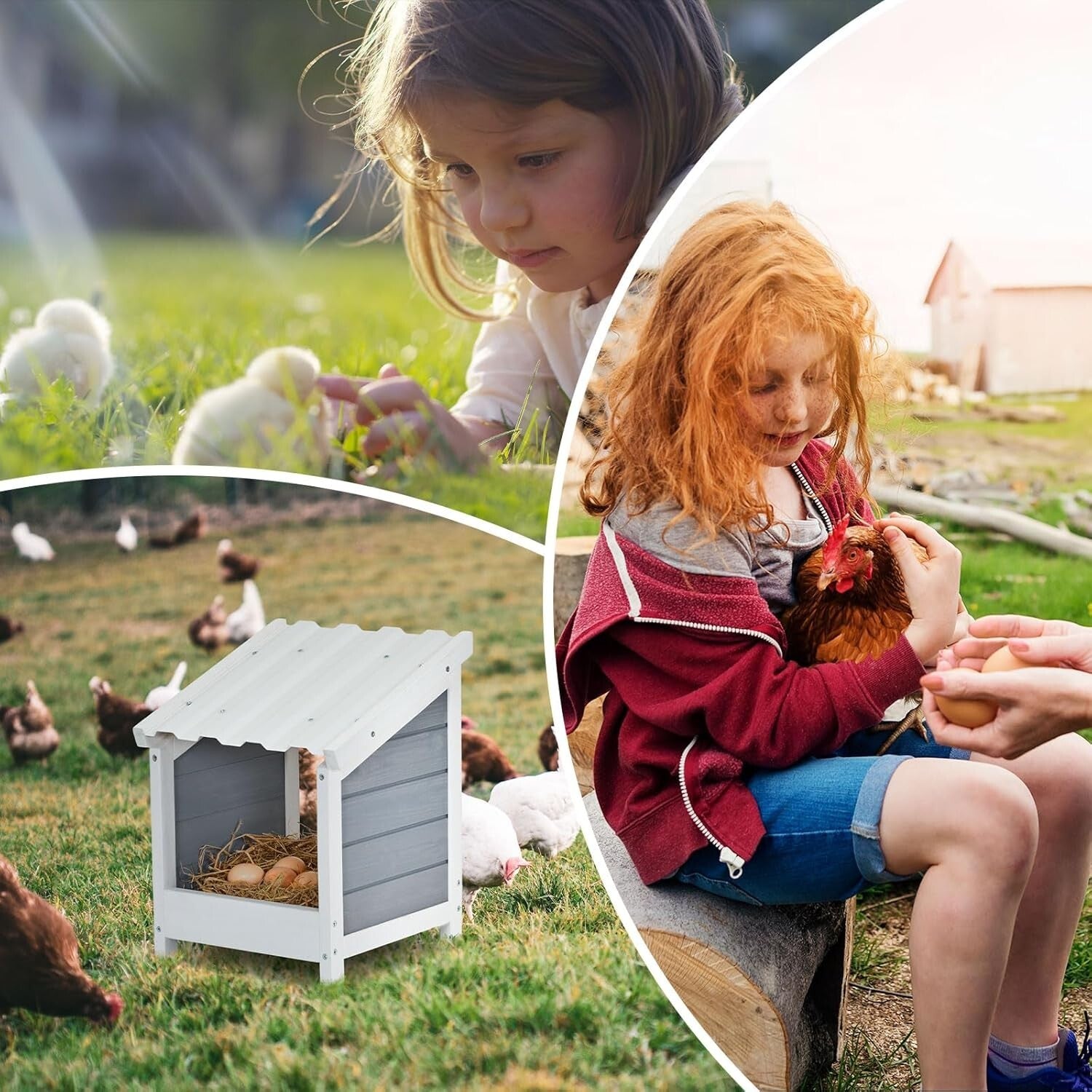 Weather-Resistant Chicken Nesting Box with Easy Installation - Modern Design