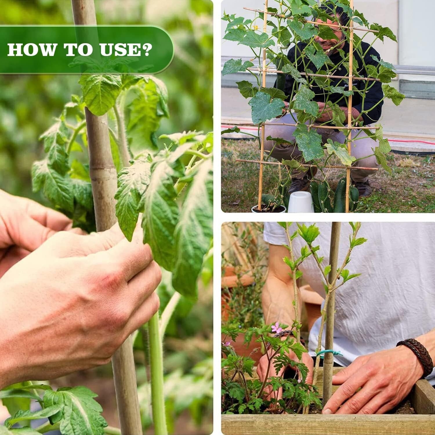 Versatile 20-Pack 6FT Bamboo Stakes for Strong Support & Garden Organization