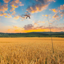 Load image into Gallery viewer, Red Bird Scarer Kite with Adjustable 4m Pole - Effective Crop Protection
