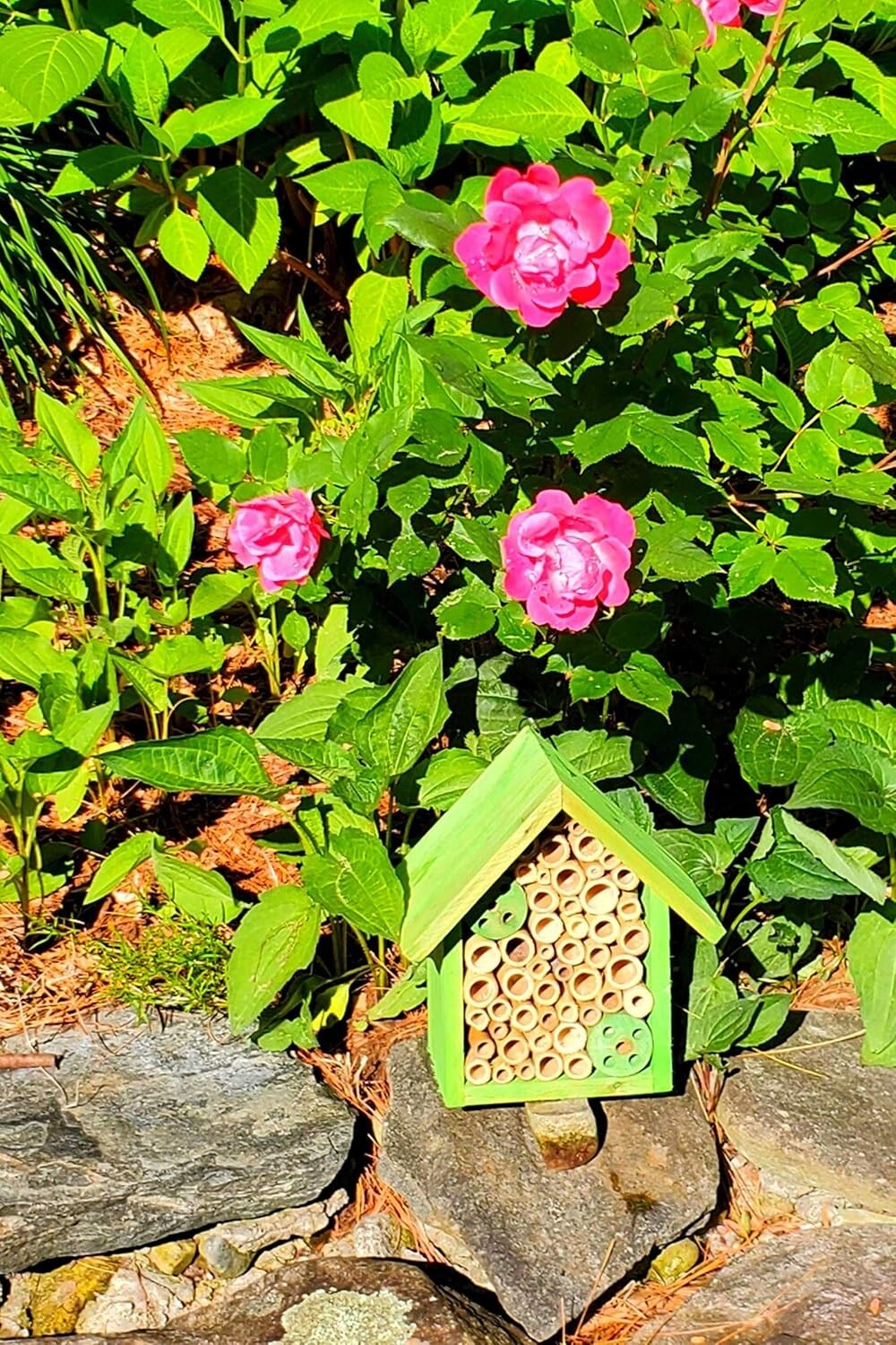 Eco-Friendly Mason Bee House with Bamboo Tubes - Attract Gentle Pollinators